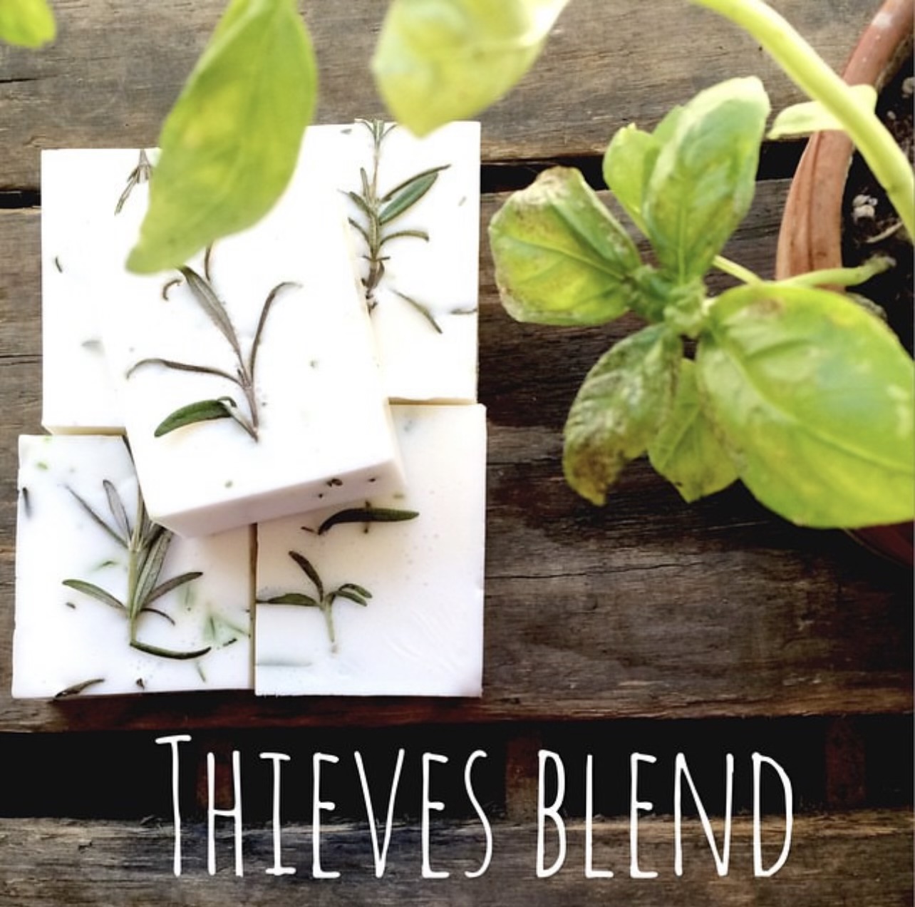 Classy and Inexpensive Christmas Party Favors